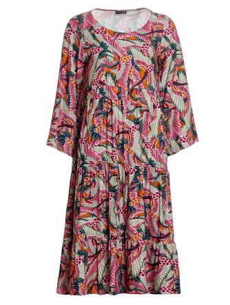 See the Bird etViola